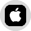 Apple Tokenized Stock (Ondo) icon